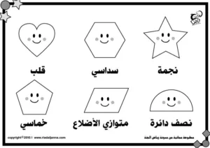 الأشكال-13